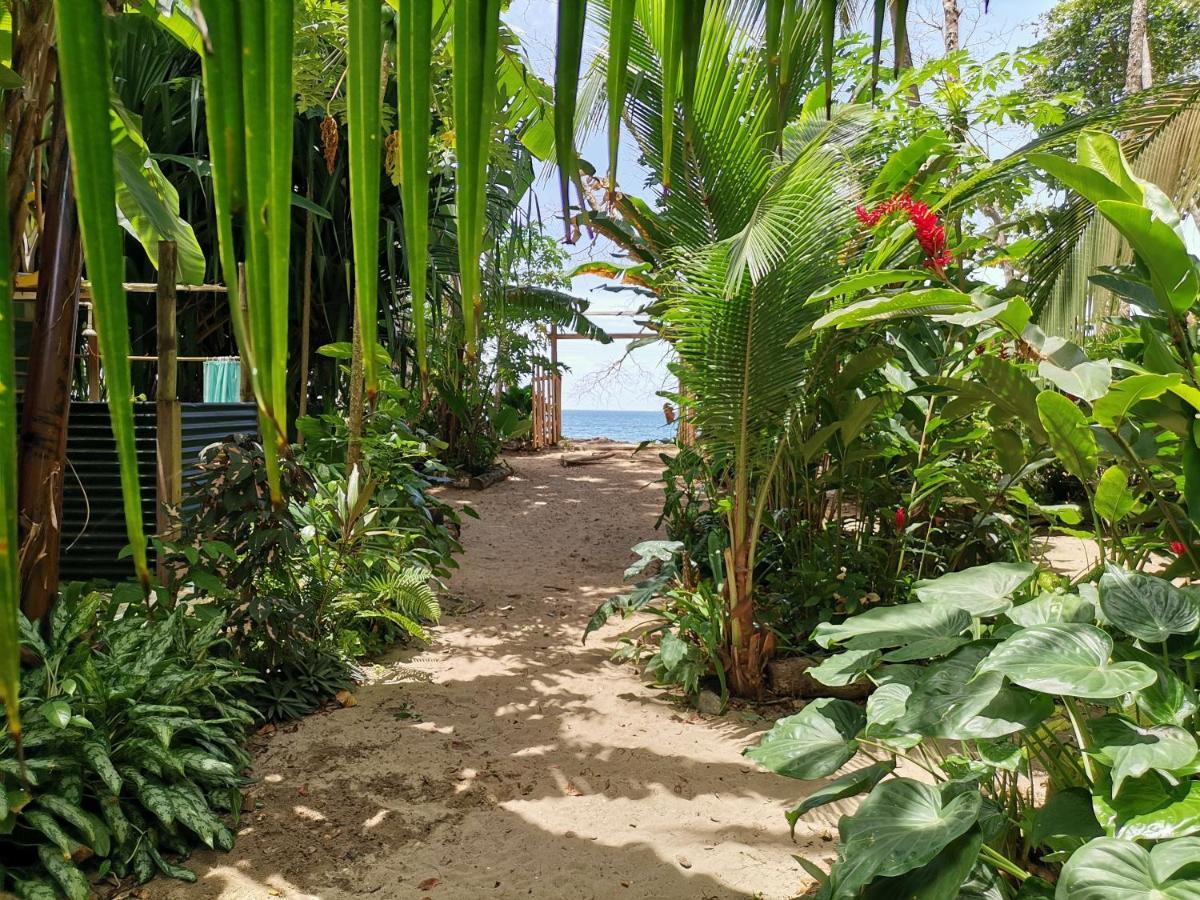 Oasis Beachfront Hostel Puerto Limon Exterior foto