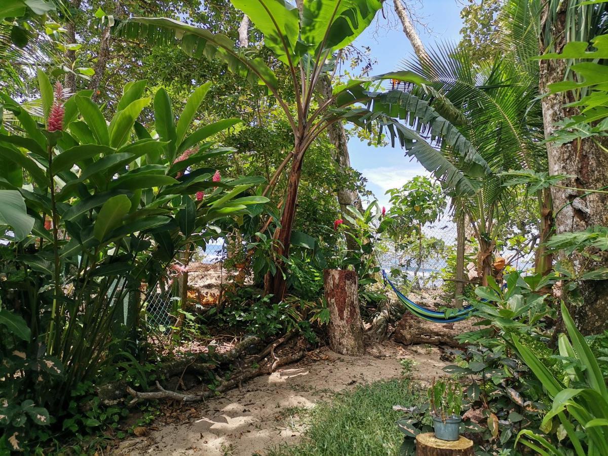 Oasis Beachfront Hostel Puerto Limon Exterior foto